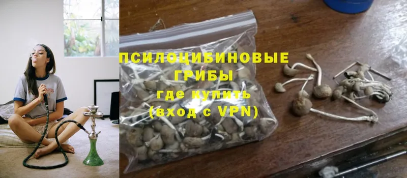 Галлюциногенные грибы MAGIC MUSHROOMS Губкин